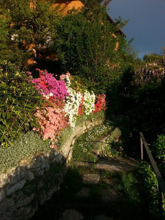 Casa Vacanze Le Violette Βίλα Brunate Εξωτερικό φωτογραφία