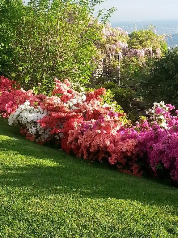 Casa Vacanze Le Violette Βίλα Brunate Εξωτερικό φωτογραφία