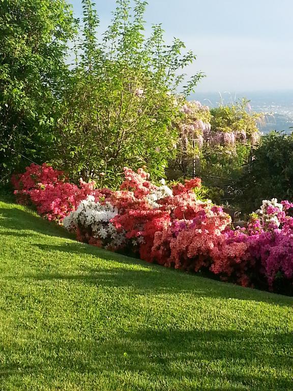 Casa Vacanze Le Violette Βίλα Brunate Εξωτερικό φωτογραφία