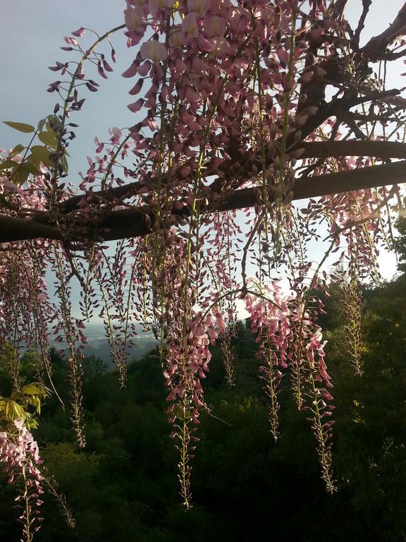 Casa Vacanze Le Violette Βίλα Brunate Εξωτερικό φωτογραφία